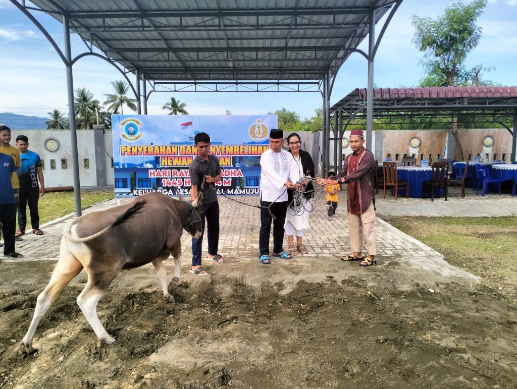 Lanal Mamuju Berbagi Daging Kurban ke Masyarakat di Hari Raya Idul Adha 1445 Hijriah