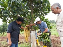 Pj Gubernur Sulbar Ajak OPD Studi Karya ke Bulukumba, Ini Tujuannya!