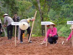 Dorong Ketahanan Pangan, Kapolda Sulbar Tanam Komoditas Pangan Strategis di Botteng
