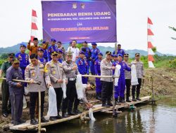 Kapolda Sulbar Tebar Benih Udang di Malunda: Aksi Nyata untuk Ketahanan Pangan dan Kesejahteraan Masyarakat