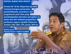 Kepala DKP Sulbar: Ikan Nila Bernilai Ekonomis dan Ekspor, Bukan Ikan Invasif
