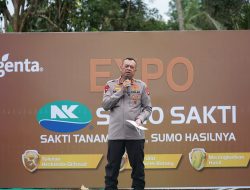 Expo dan Panen Raya di Tommo: Kapolda Sulbar Dorong Peningkatan Pertanian dengan Pendekatan Keamanan Pangan