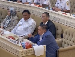 Wagub Sulbar ke Komisi II DPR RI, Minta Dukungan Pusat untuk Pembangunan Daerah