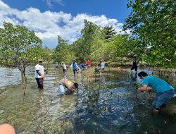 Aksi Tanam Mangrove di Sulbar Dukung Pelestarian Lingkungan dan Pariwisata Berkelanjutan