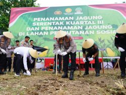 Kapolda Sulbar Pimpin Penanaman Jagung Serentak, Perkuat Komitmen Swasembada Pangan 2025