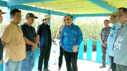 KIPAS Akan Jadi Game Changer Ekonomi Sulbar, Ini Kata Gubernur Sulbar