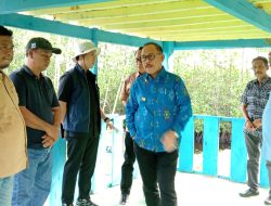 KIPAS Akan Jadi Game Changer Ekonomi Sulbar, Ini Kata Gubernur Sulbar