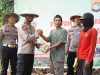 Dari Ladang Jagung, Bid Propam Polda Sulbar Jadi Penggerak Swasembada Pangan
