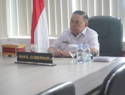 Sulbar Dorong Ketahanan Pangan Lewat Perpres 81/2024, Wagub Salim Pimpin Diseminasi